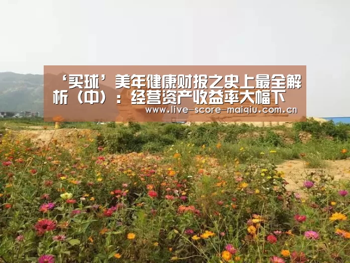 ‘买球’美年健康财报之史上最全解析(中):经营资产收益率大幅下降的原因是什么?(图1) 买球
