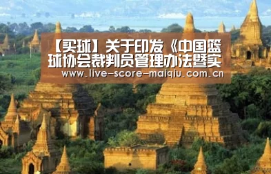 【买球】关于印发《中国篮球协会裁判员管理办法暨实施细则(暂行)》的通知(图3) 买球app官网