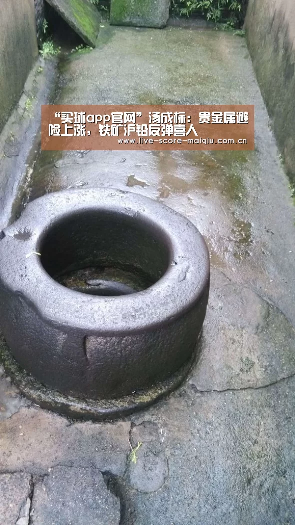 “买球app官网”汤成标:贵金属避险上涨,铁矿沪铅反弹喜人(图1) 买球app官网