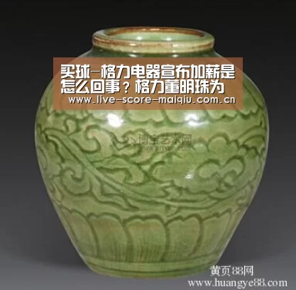 买球-格力电器宣布加薪是怎么回事?格力董明珠为什么要给员工加薪?(图1) 买球app官网