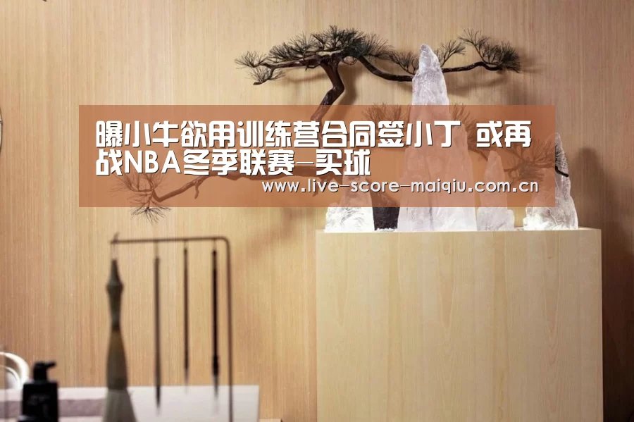 曝小牛欲用训练营合同签小丁 或再战NBA冬季联赛-买球(图1) 买球