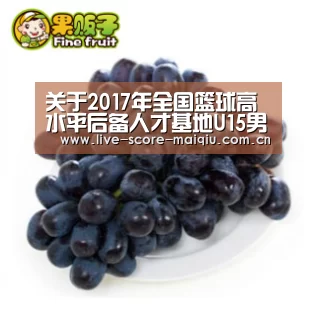 关于2017年全国篮球高水平后备人才基地U15男子比赛裁判员安排的通知【买球】(图4) 买球